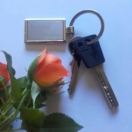 Appartement Downtown